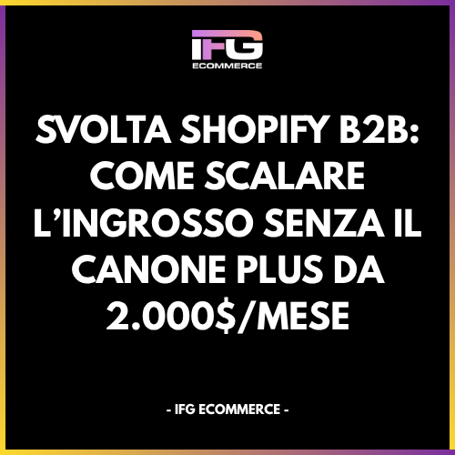 Architettura logica Shopify B2B per l'ingrosso ottimizzata secondo il Protocollo IFG eCommerce - Francesco Guiducci Roma.